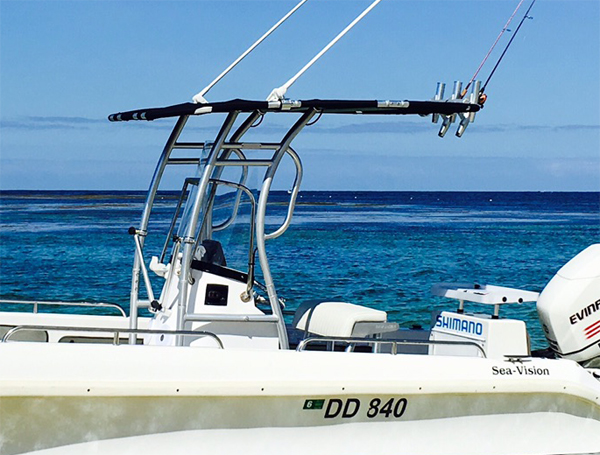 ¡Promoción! Dolphin Pro2 Conso - Rod Holder Fishing reseña y precio